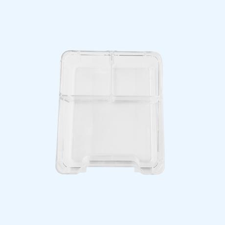 Insert for Lunchbox With Name