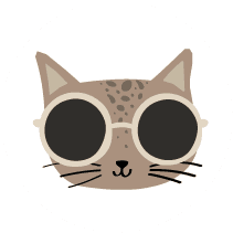 Cool Cat