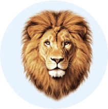 Real Lion 1