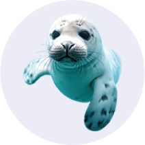 Real Seal 1