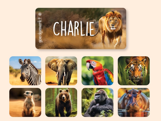 Clothing Stickers - Real World