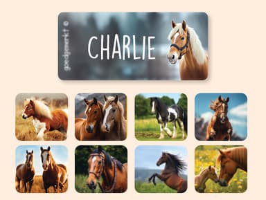 Clothing Stickers - Real World