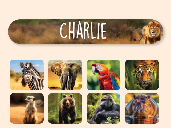 Mini Name Stickers - Real World