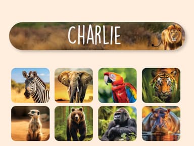 Mini Name Stickers - Real World