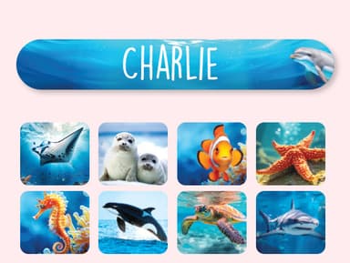 Mini Name Stickers - Real World