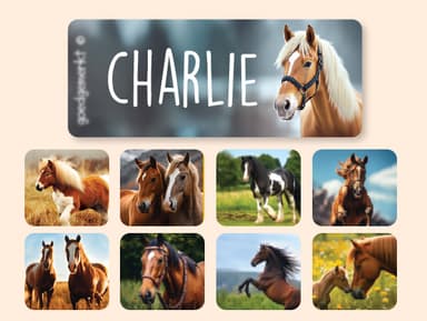 Small Name Stickers - Real World