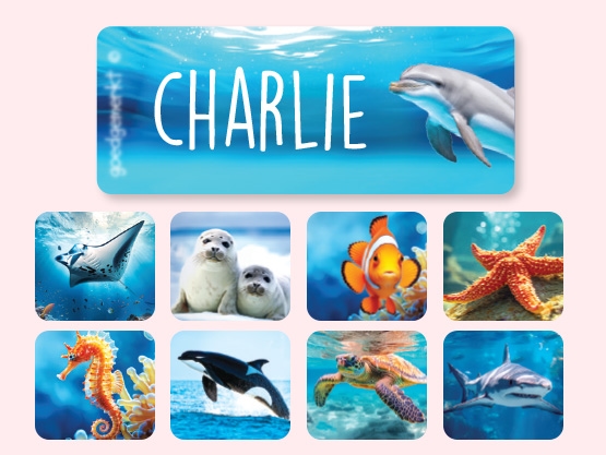 Small Name Stickers - Real World