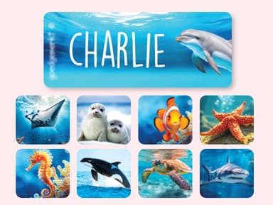 Small Name Stickers - Real World