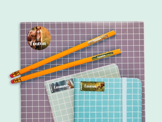 Name Sticker Value Set - Real World