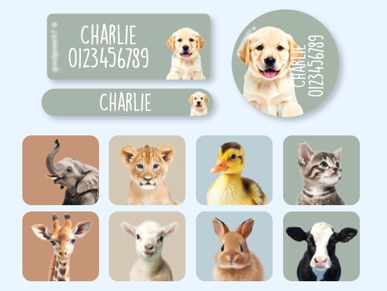 Name Sticker Value Set - Real World