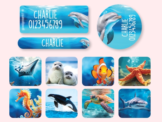 Name Sticker Value Set - Real World