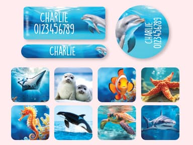 Name Sticker Value Set - Real World